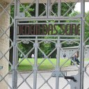 Buchenwald 1